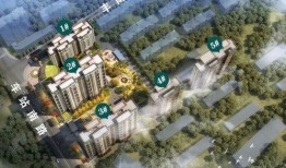 邢台楼盘爆料事件最新情况,最新进展与各方回应盘点