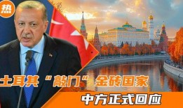 土耳其最新爆料,揭秘背后惊人真相！