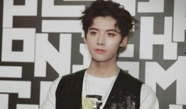 丁飞俊最新爆料,娱乐圈背后惊人内幕