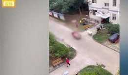 武汉封控小区爆料事件最新,揭露疫情下的社区困境与挑战