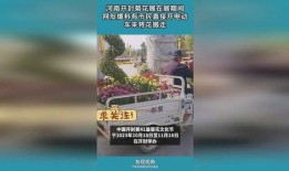 开封网民爆料最新,揭秘当地最新事件真相